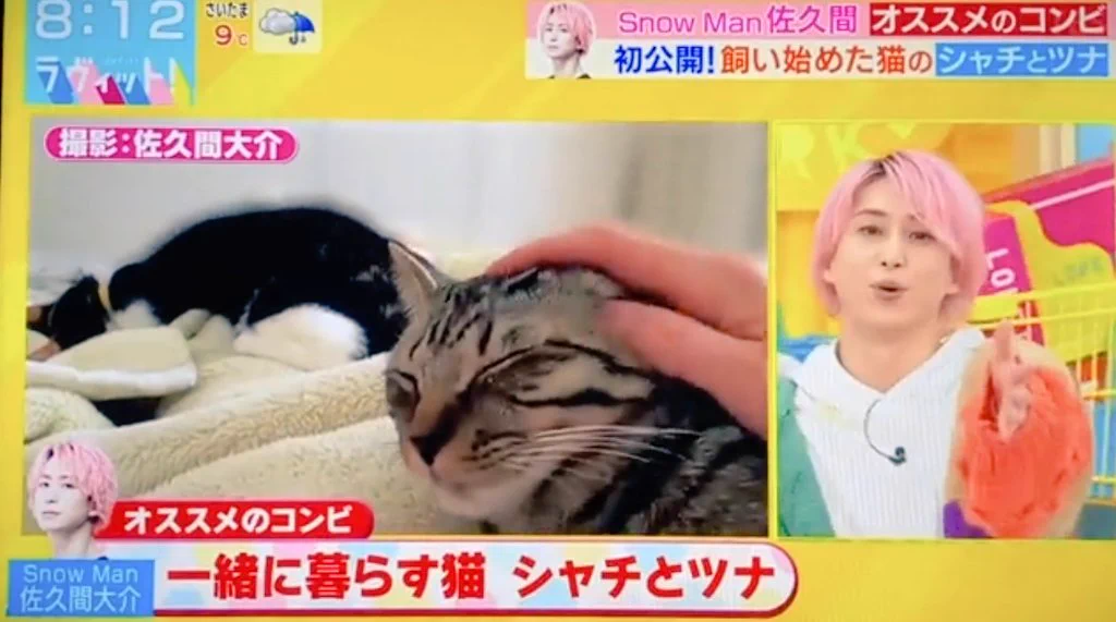 Snow Man　佐久間大介の愛猫はツナとシャチ！保護猫との出会いや名前の由来、溺愛エピソードを紹介