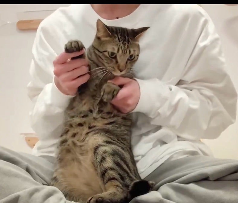 Snow Man　佐久間大介の愛猫はツナとシャチ！保護猫との出会いや名前の由来、溺愛エピソードを紹介