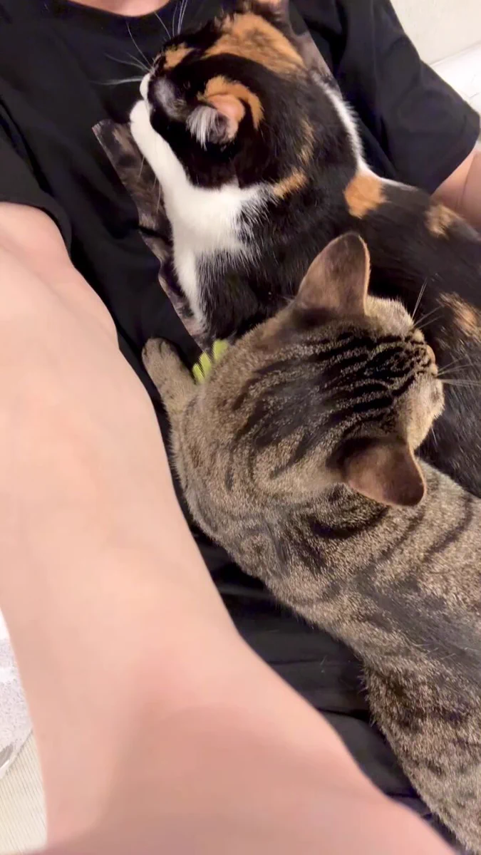 Snow Man　佐久間大介の愛猫はツナとシャチ！保護猫との出会いや名前の由来、溺愛エピソードを紹介